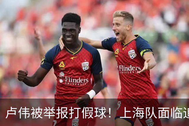 卢伟被举报打假球！上海队面临追罚，张镇麟坑惨球队